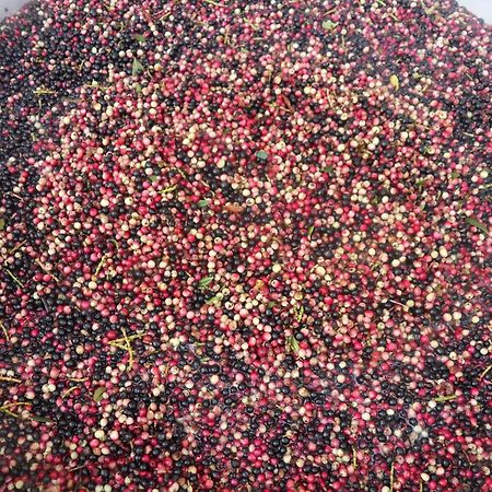 Agriturismo Agrisole أولبيا المظهر الخارجي الصورة