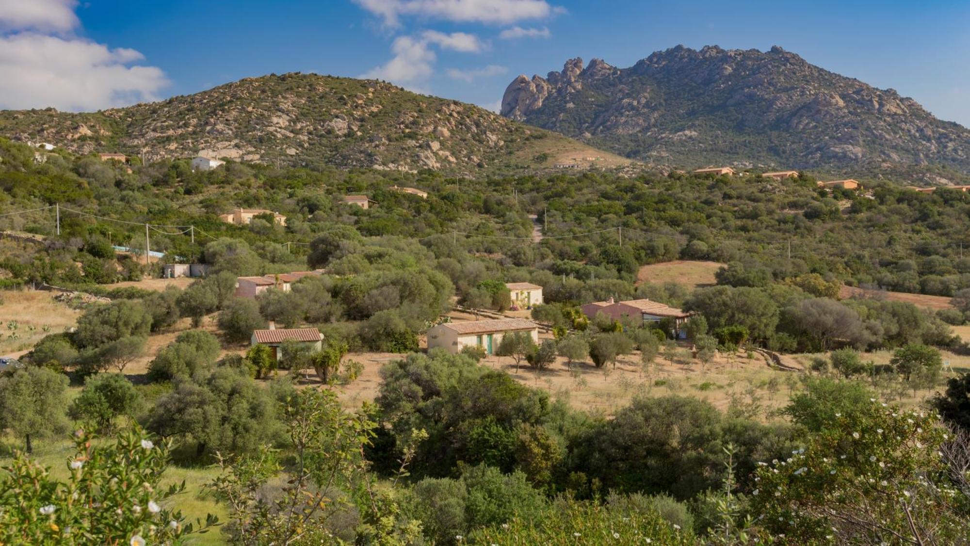 Agriturismo Agrisole أولبيا المظهر الخارجي الصورة