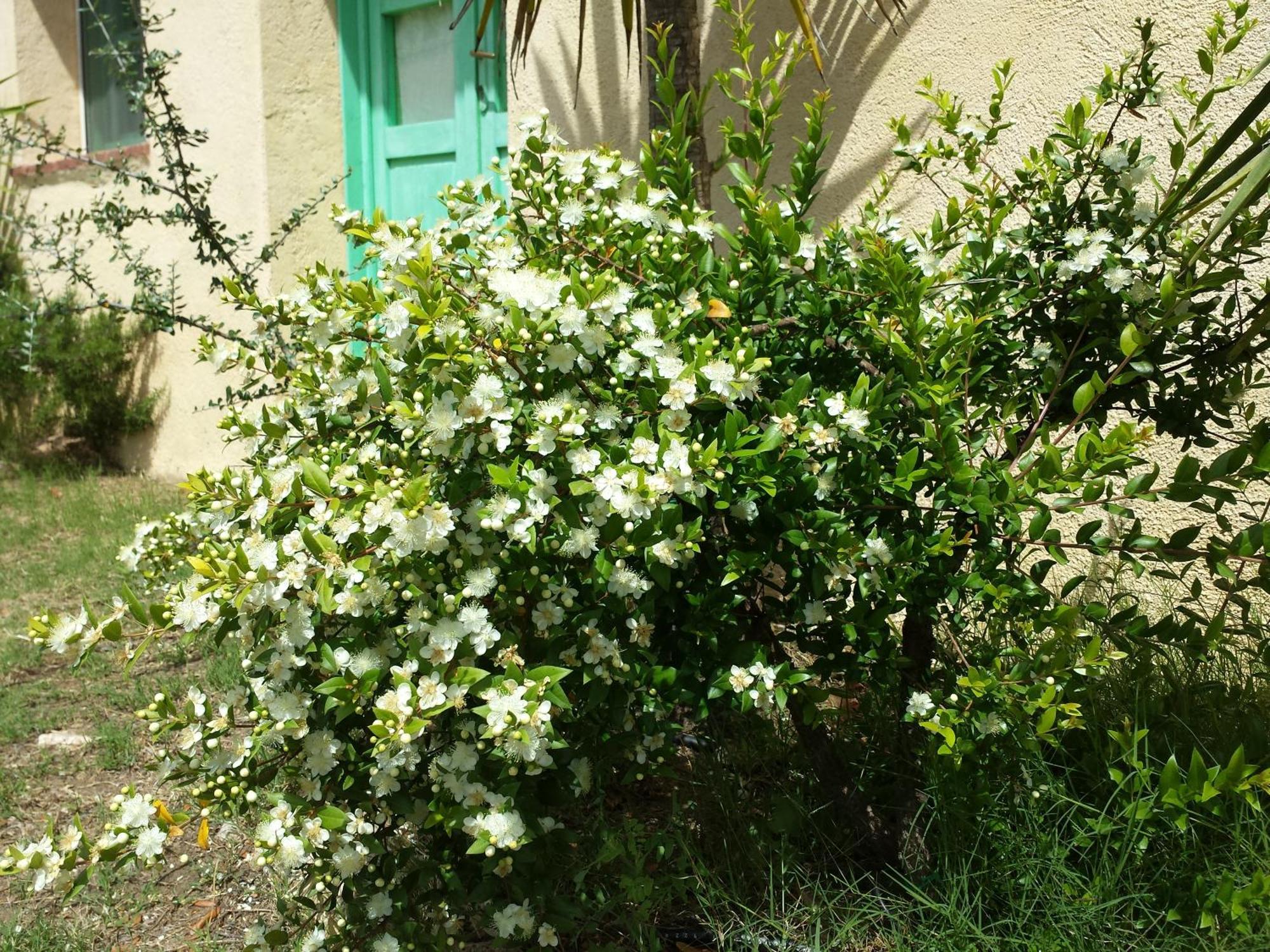 Agriturismo Agrisole أولبيا المظهر الخارجي الصورة