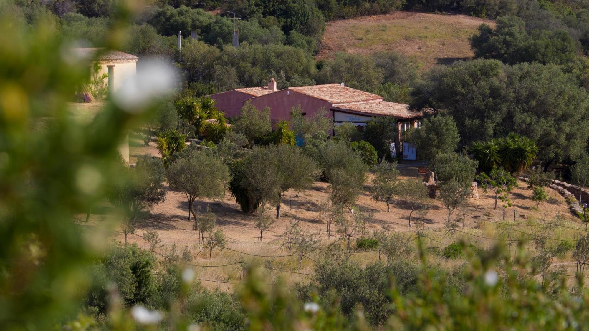 Agriturismo Agrisole أولبيا المظهر الخارجي الصورة