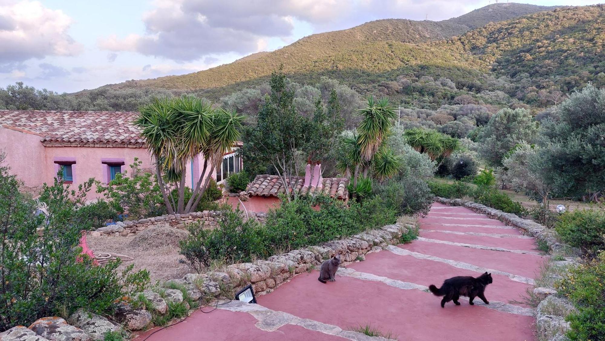 Agriturismo Agrisole أولبيا المظهر الخارجي الصورة