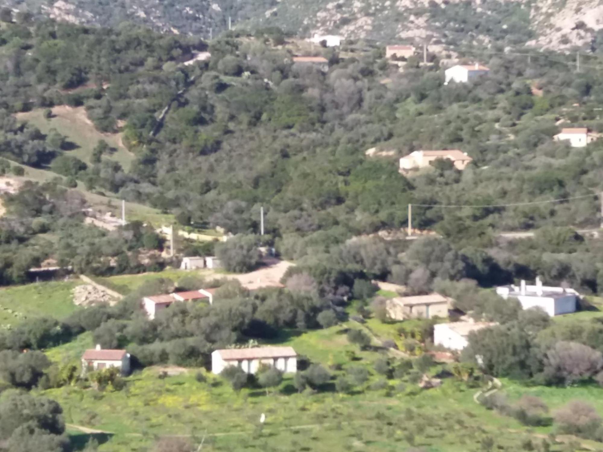 Agriturismo Agrisole أولبيا المظهر الخارجي الصورة