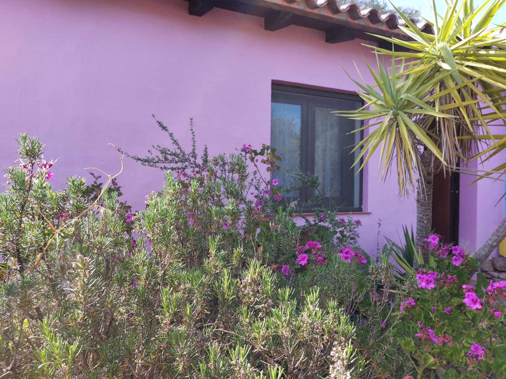 Agriturismo Agrisole أولبيا المظهر الخارجي الصورة
