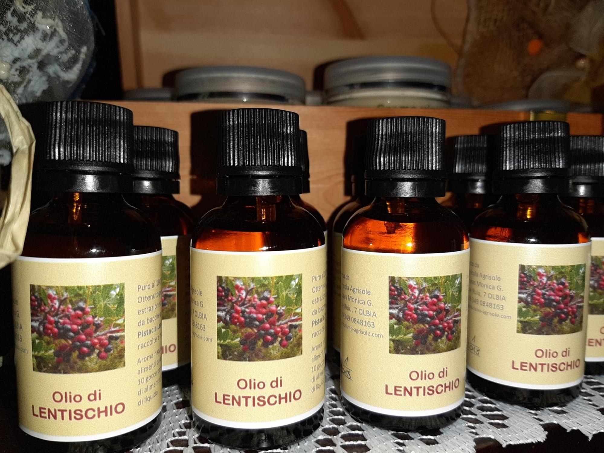Agriturismo Agrisole أولبيا المظهر الخارجي الصورة