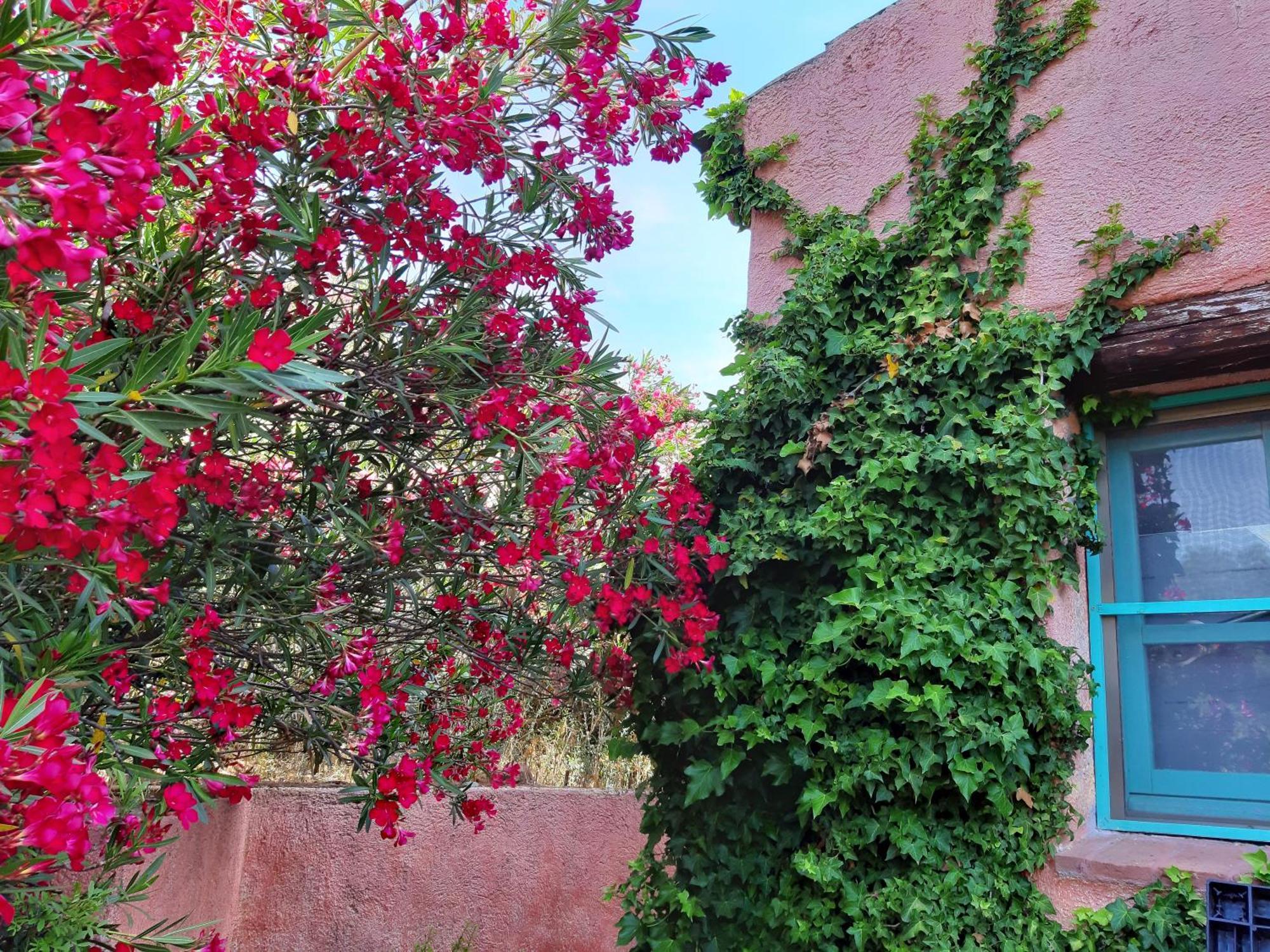 Agriturismo Agrisole أولبيا المظهر الخارجي الصورة