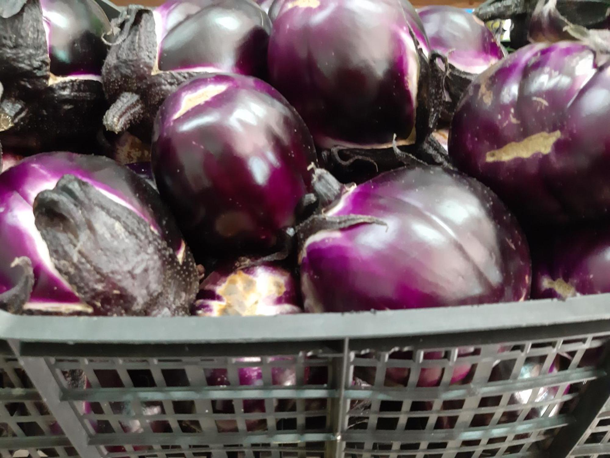 Agriturismo Agrisole أولبيا المظهر الخارجي الصورة